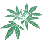 Home medical 7 cbd logo 4